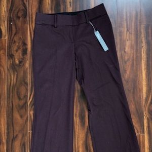 Anne Taylor Marissa Trouser maroon